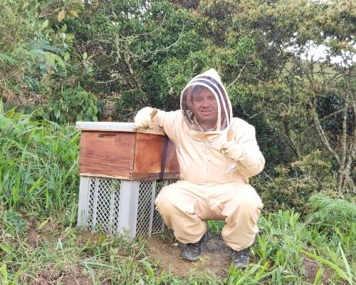 FotografoFoto DAGRD:La dulce tarea que a diario hacen las abejas en beneficio del ser humano.